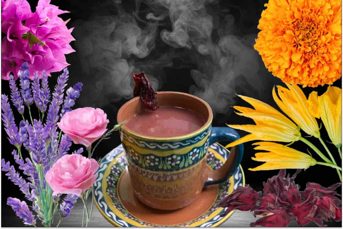 5 atoles florales para la dura temporada de frío