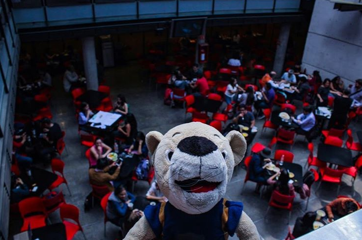 *¿Qué comer en Ciudad Universitaria* de la UNAM?