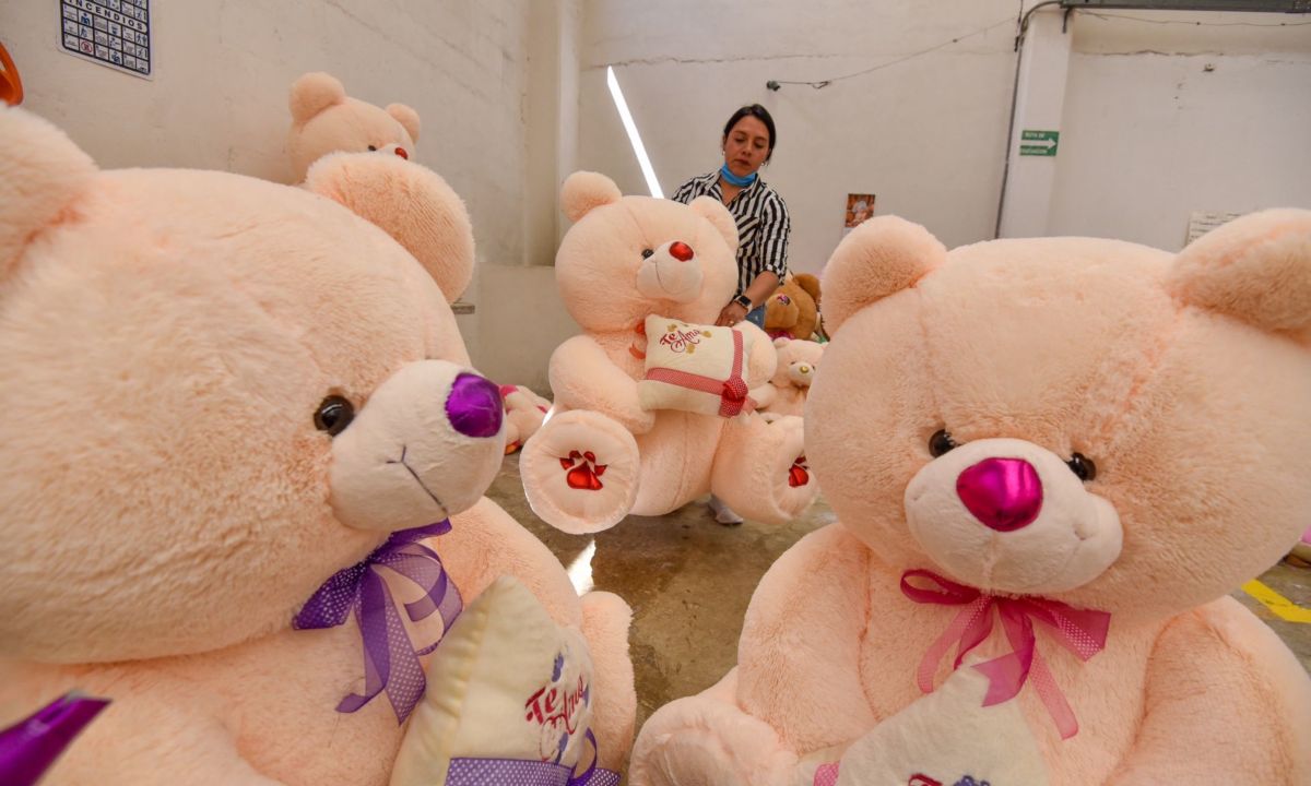 *Xonacatlán, el hogar de los osos de peluche* en el Estado de México