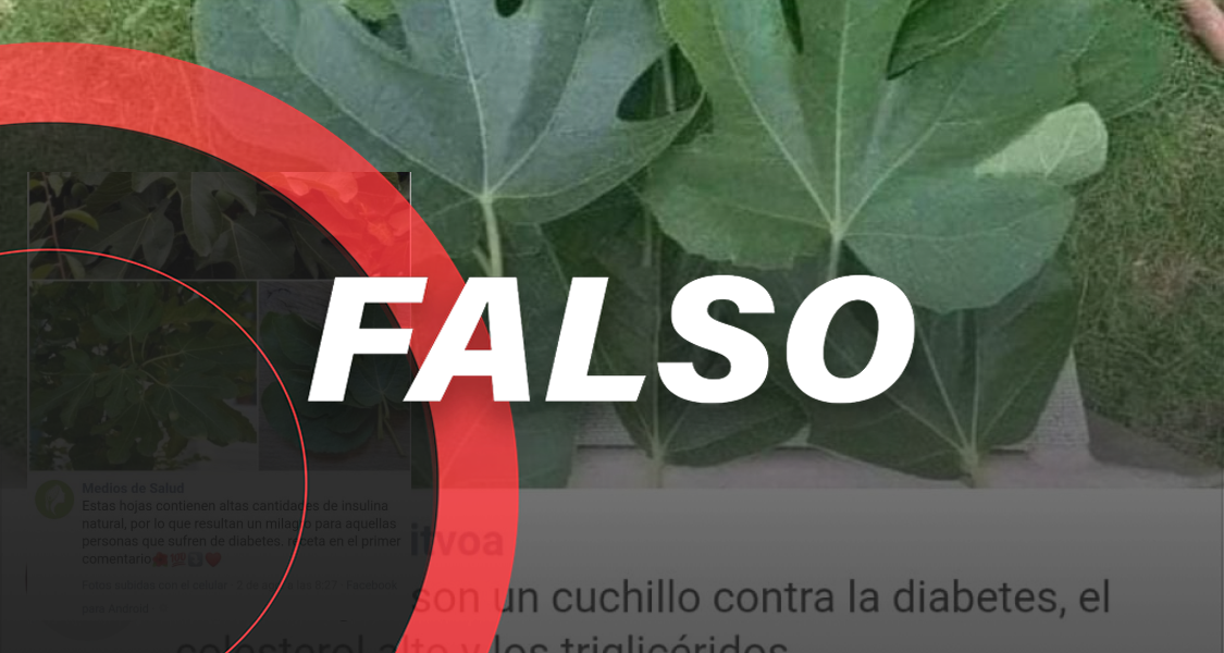 Falso que las hojas de higo produzcan insulina natural para tratar la diabetes