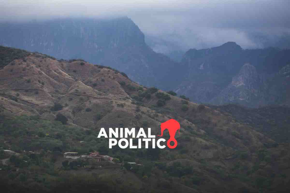 Civiles armados se enfrentan con militares en Badiraguato, Sinaloa