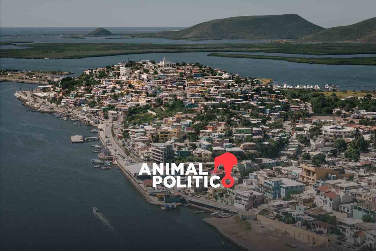 Planta de amoniaco y de gas natural impactarían de manera “destructiva” la bahía de Topolobampo: ONU