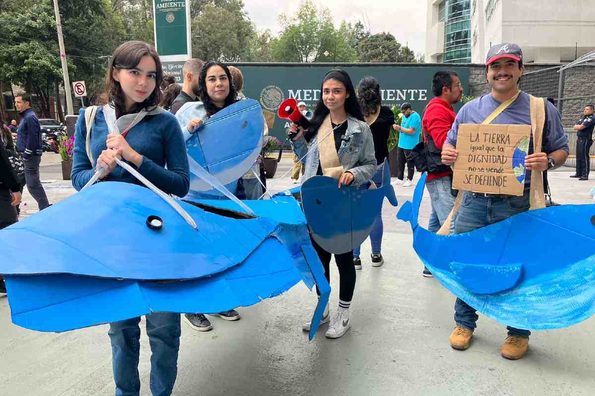 Ballena Fest, la acción para manifestarse contra el Proyecto Saguaro de Mexico Pacific
