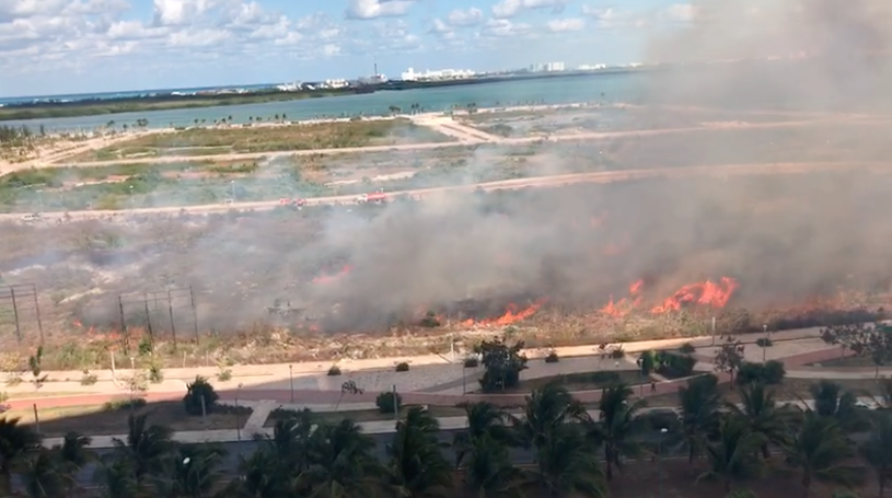 Un incendio destruye parte del manglar Tajamar; Profepa dice que fue imprudencial
