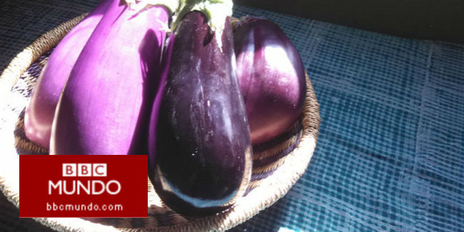 ¿Cuáles son las bondades de la berenjena?