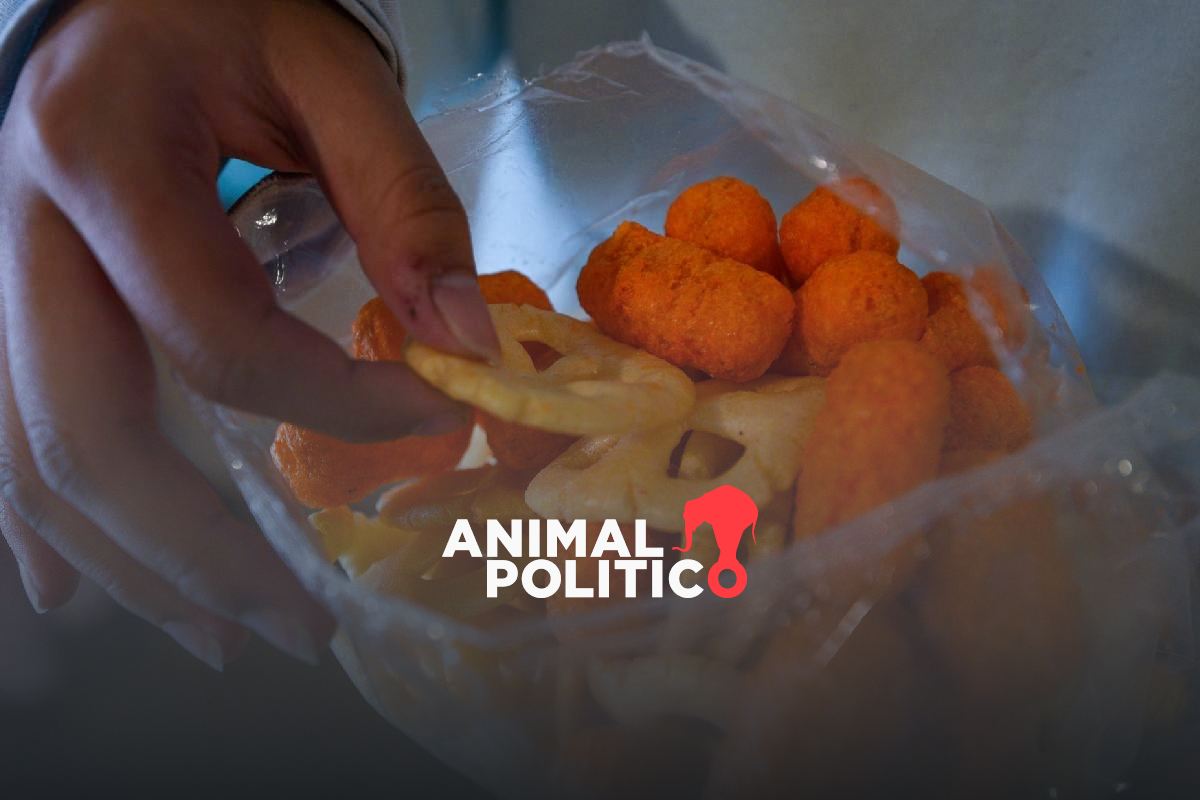 20 mil escuelas fueron reportadas por vender comida chatarra; estos son los estados con más quejas