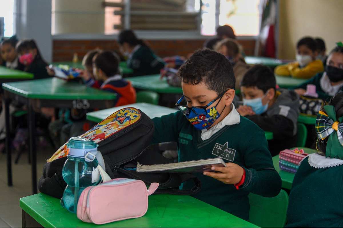 Fin del ciclo escolar: así puedes descargar la boleta de calificaciones de primaria y secundaria