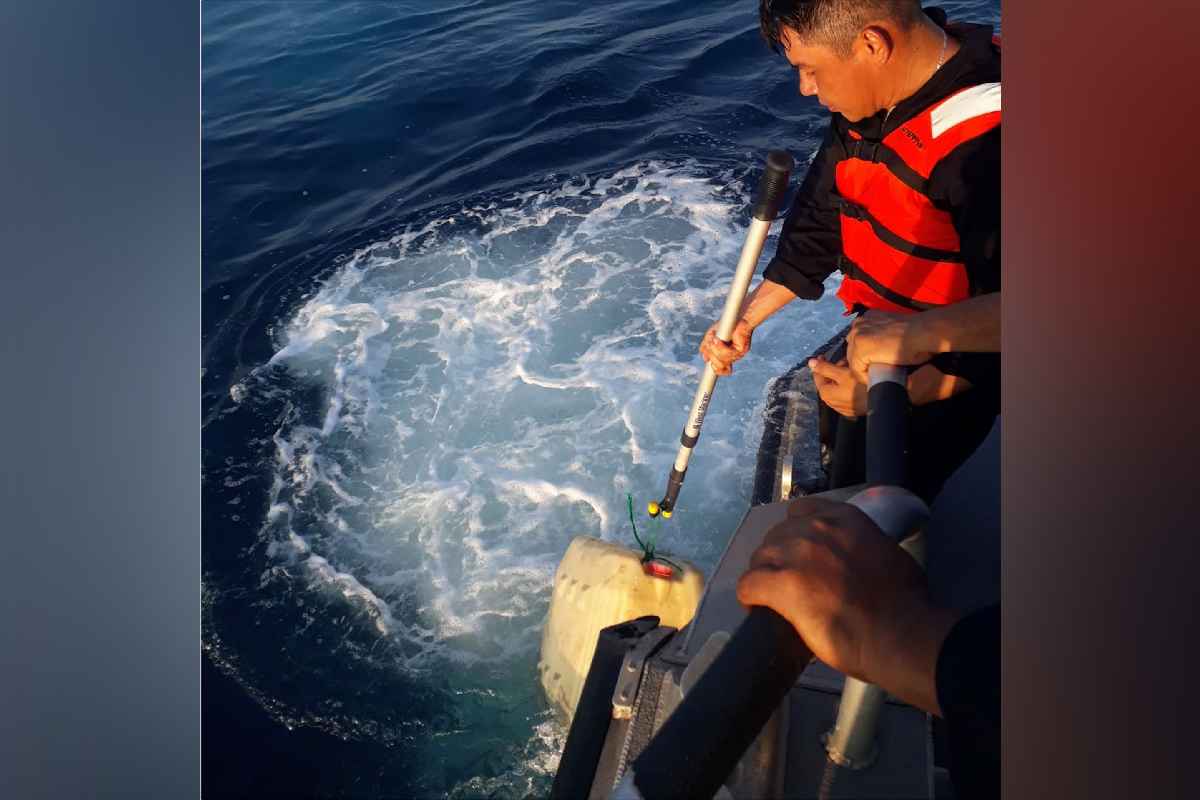 Activan operativo de búsqueda por desaparición de dos embarcaciones mexicanas que llevaban ayuda humanitaria a Cuba