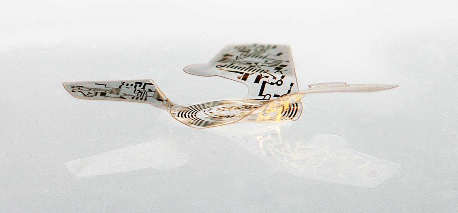 *¿Un microchip que vuela?* Sí existe y podría ayudar a combatir la contaminación