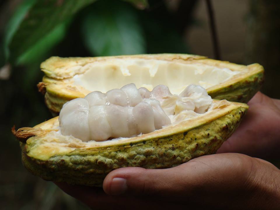 Este chocolate mexicano se posiciona como uno de los mejores del mundo