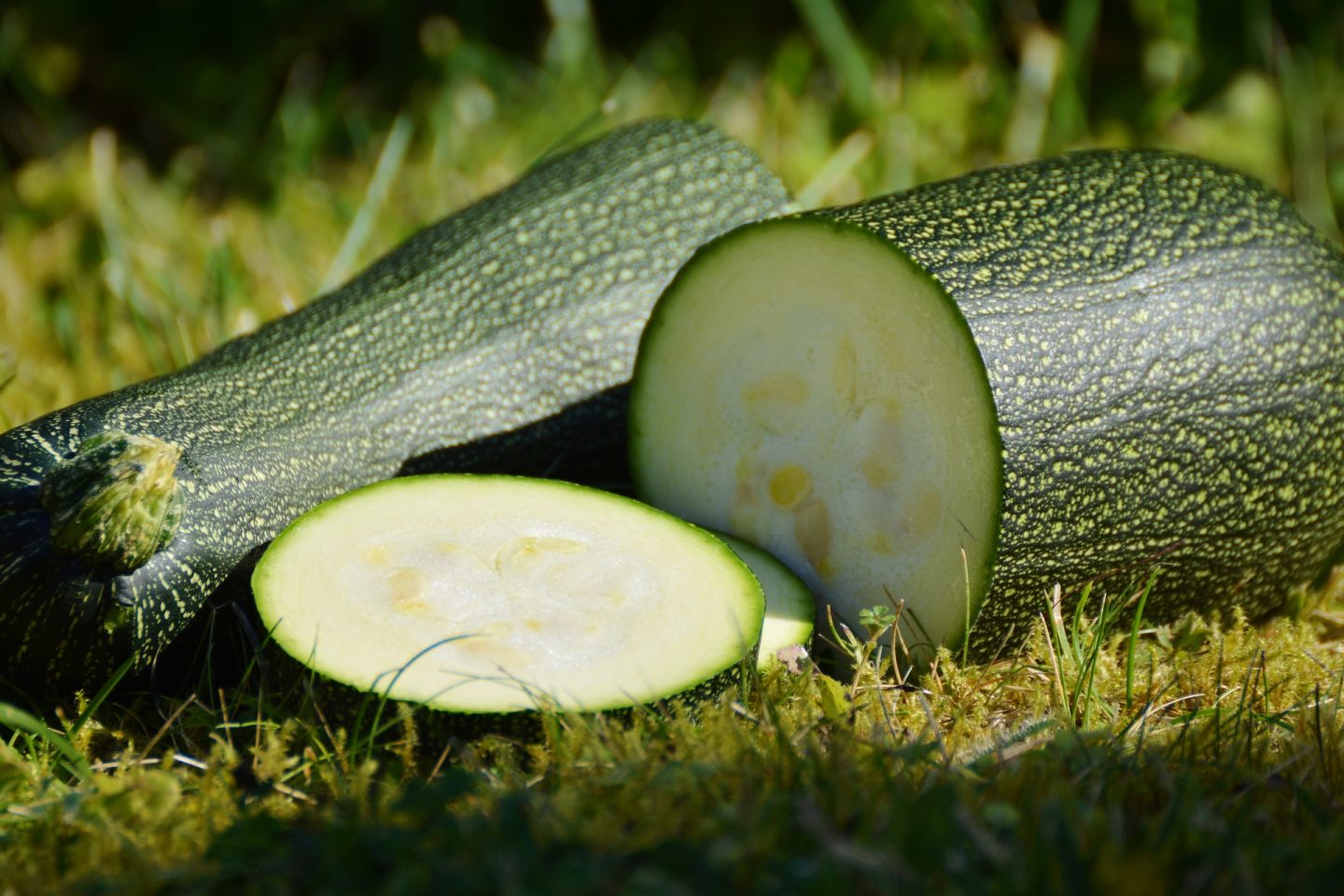 10 formas deliciosas para cocinar calabacitas