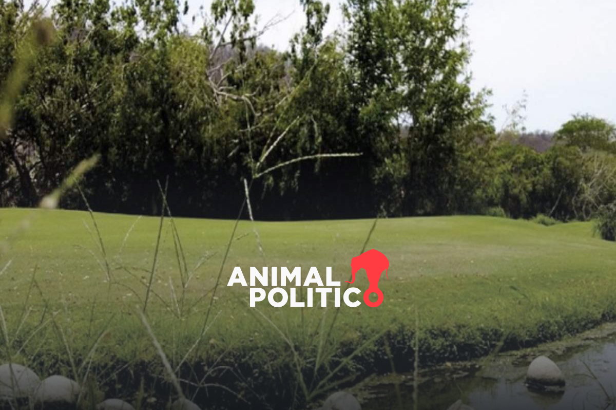 Retiran sellos en campo de golf que operaba Salinas Pliego en Huatulco pero se mantiene suspensión