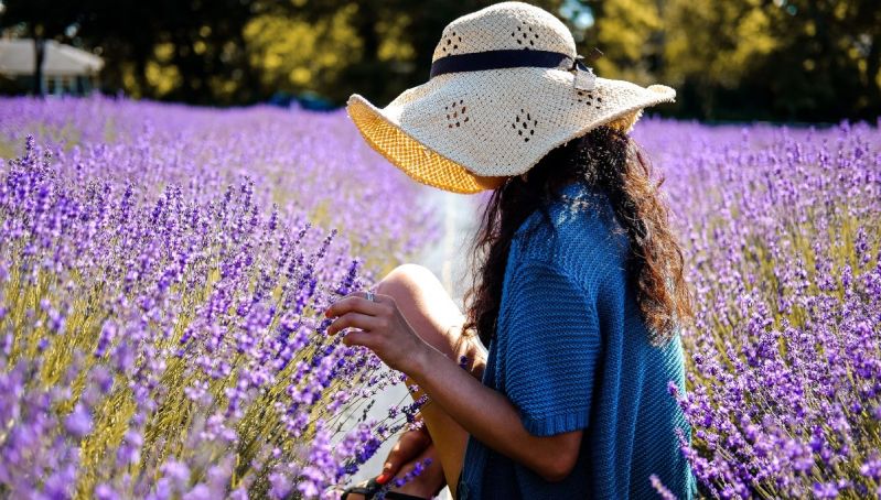 ¡No es la campiña Francesa! Dónde visitar campos de lavanda en México