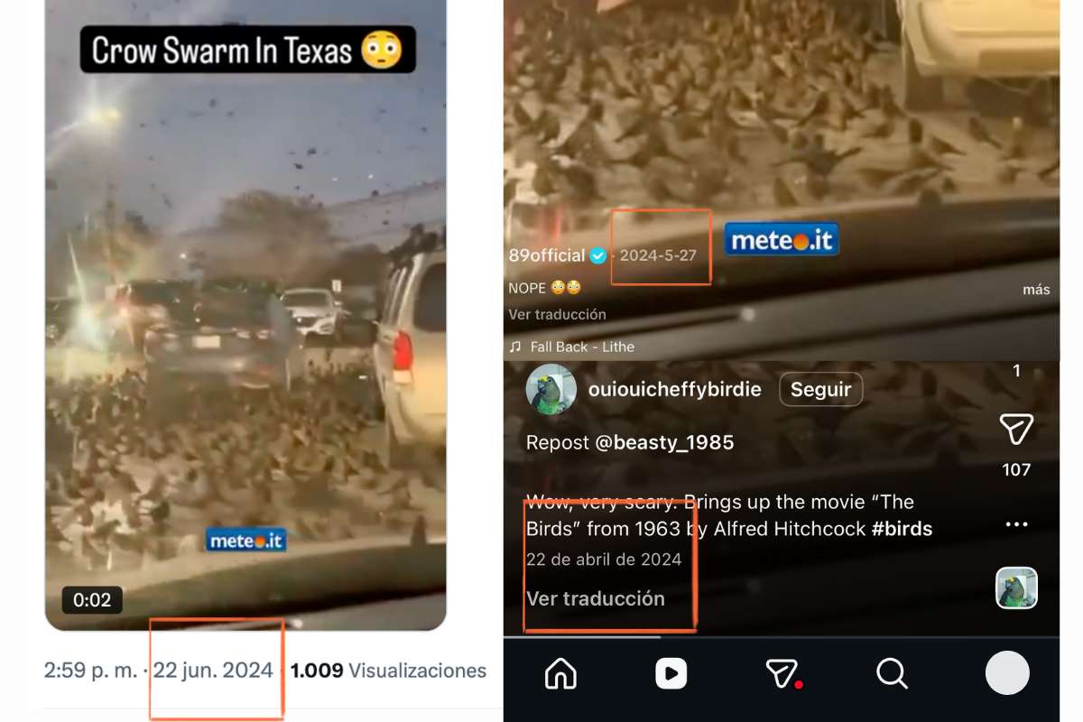 Contrario a lo que se asegura en redes sociales, el video de un estacionamiento lleno de aves negras no es un “presagio” ni fue grabado en Israel, sino que circula desde hace años y corresponde a Texas.