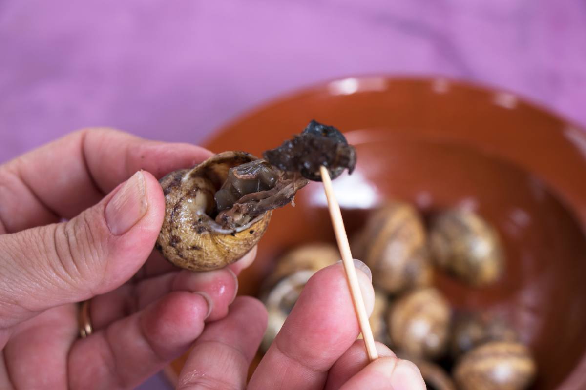 Ni franceses ni modernos, los caracoles son una exquisitez mexicana
