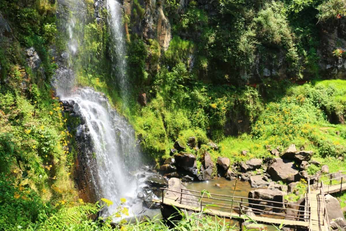 Escápate a Cascadas Paraíso, un bosque oculto en Honey, Puebla