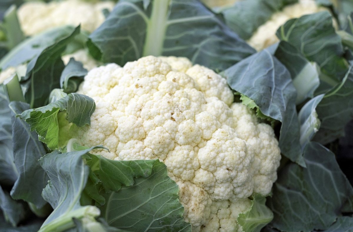Cinco recetas con coliflor para que le saques el máximo sabor