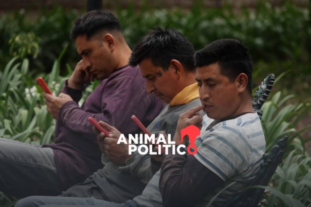 "No tiene que ver con vigilancia": Sheinbaum dice que registro de celulares está a cargo de empresas