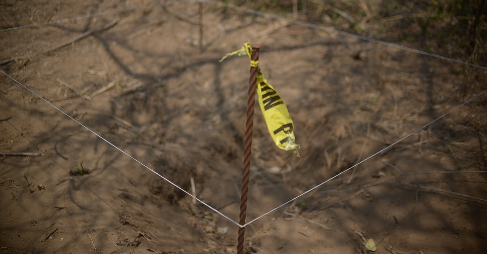 Seis municipios concentran 52 % de cuerpos hallados en fosas: estudio