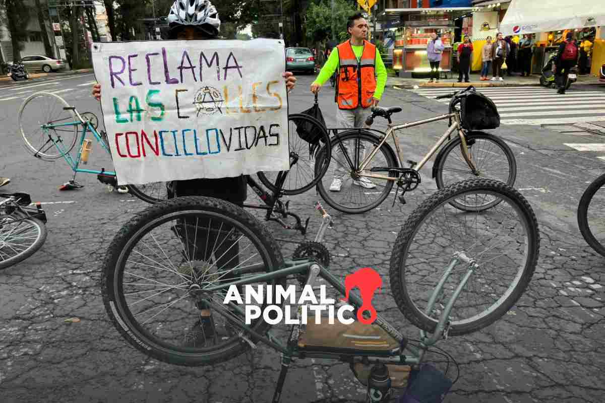 “Ni una bici blanca más”: con rodada, exigen justicia para “Cariñx” y ciclistas muertos en CDMX