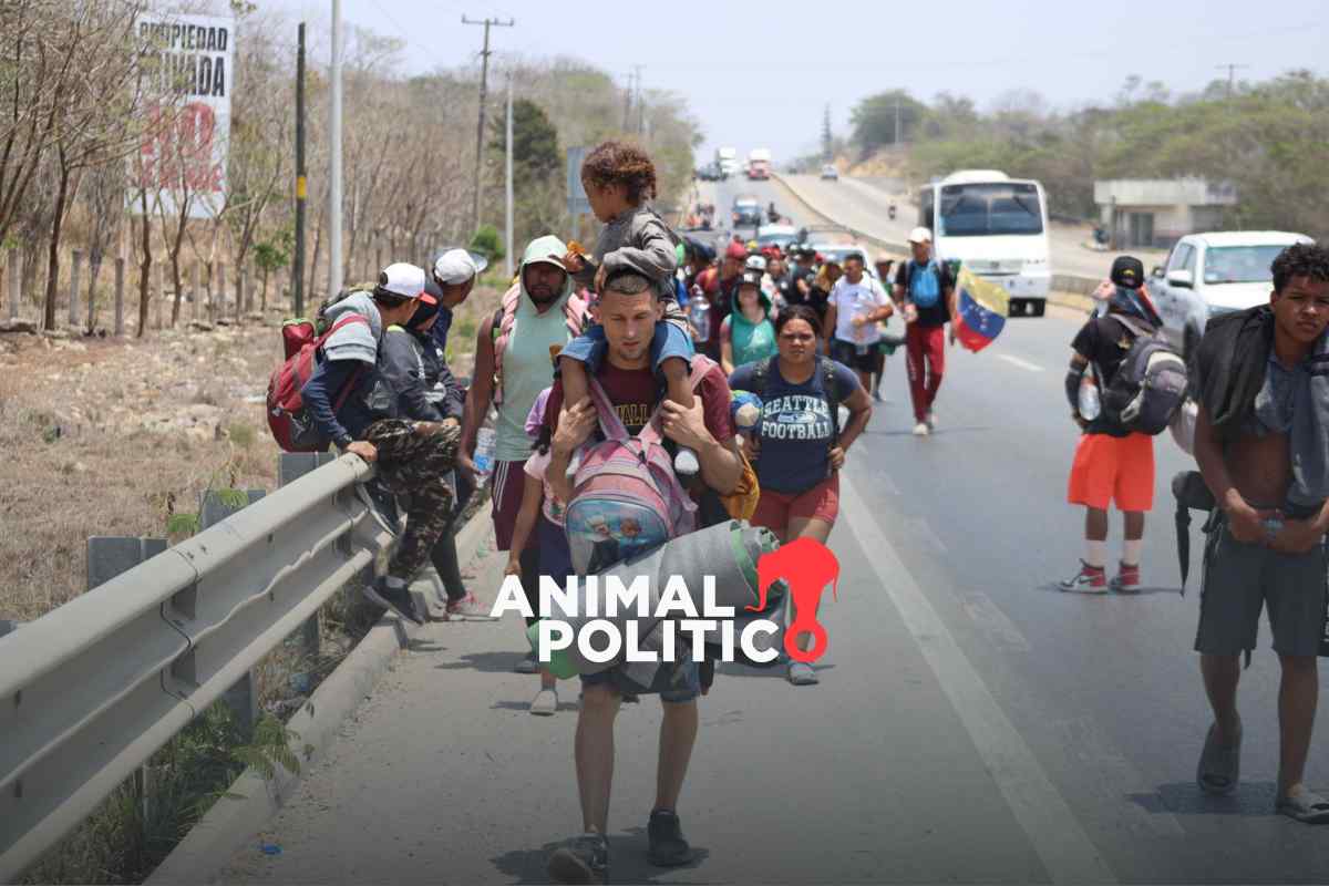 Migración alcanza cifra récord en 2023 en México; bajan devoluciones, crece control y violencia