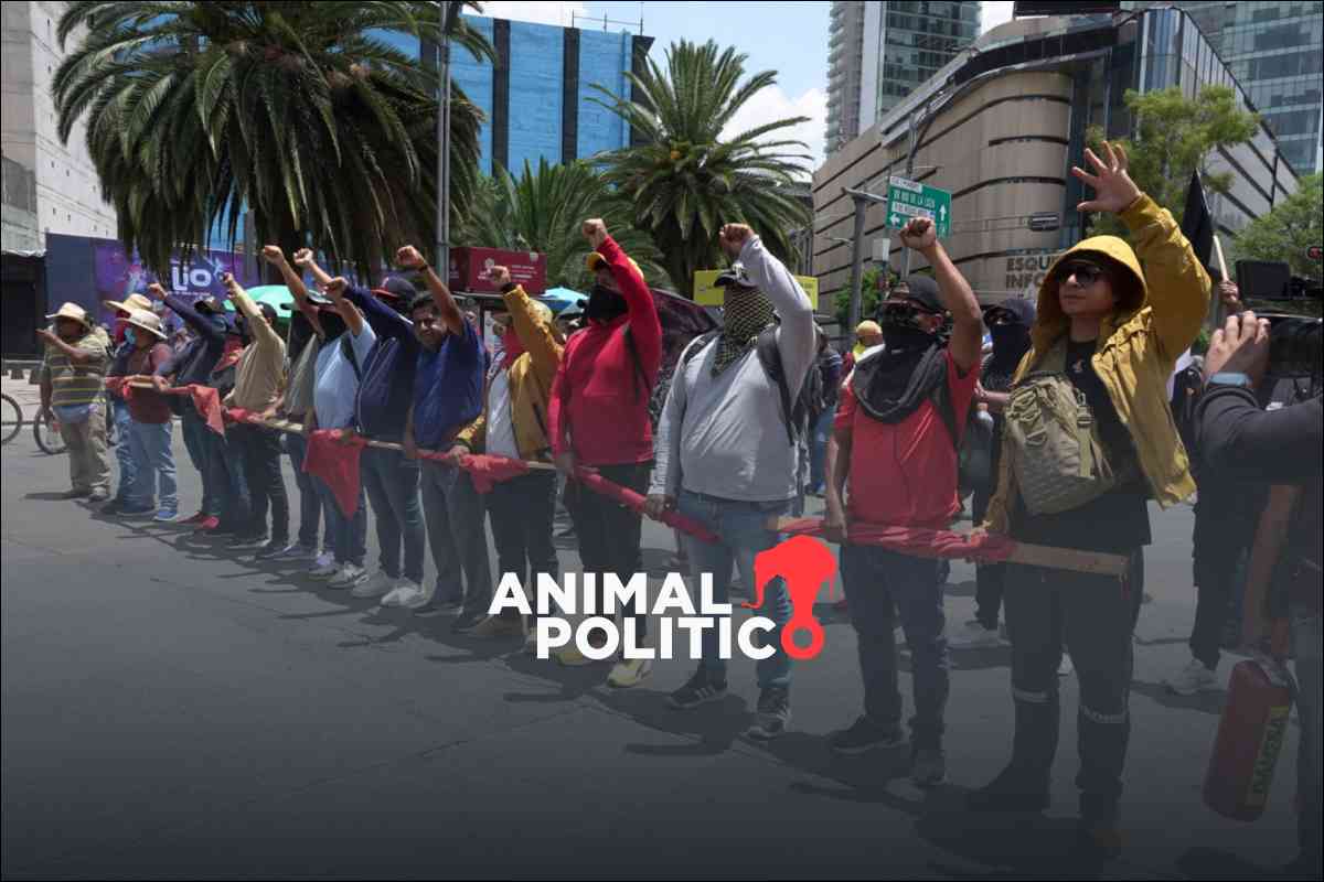 Maestros retiran casas de campaña del Zócalo; CNTE amenaza a Sheinbaum con presentarse en eventos