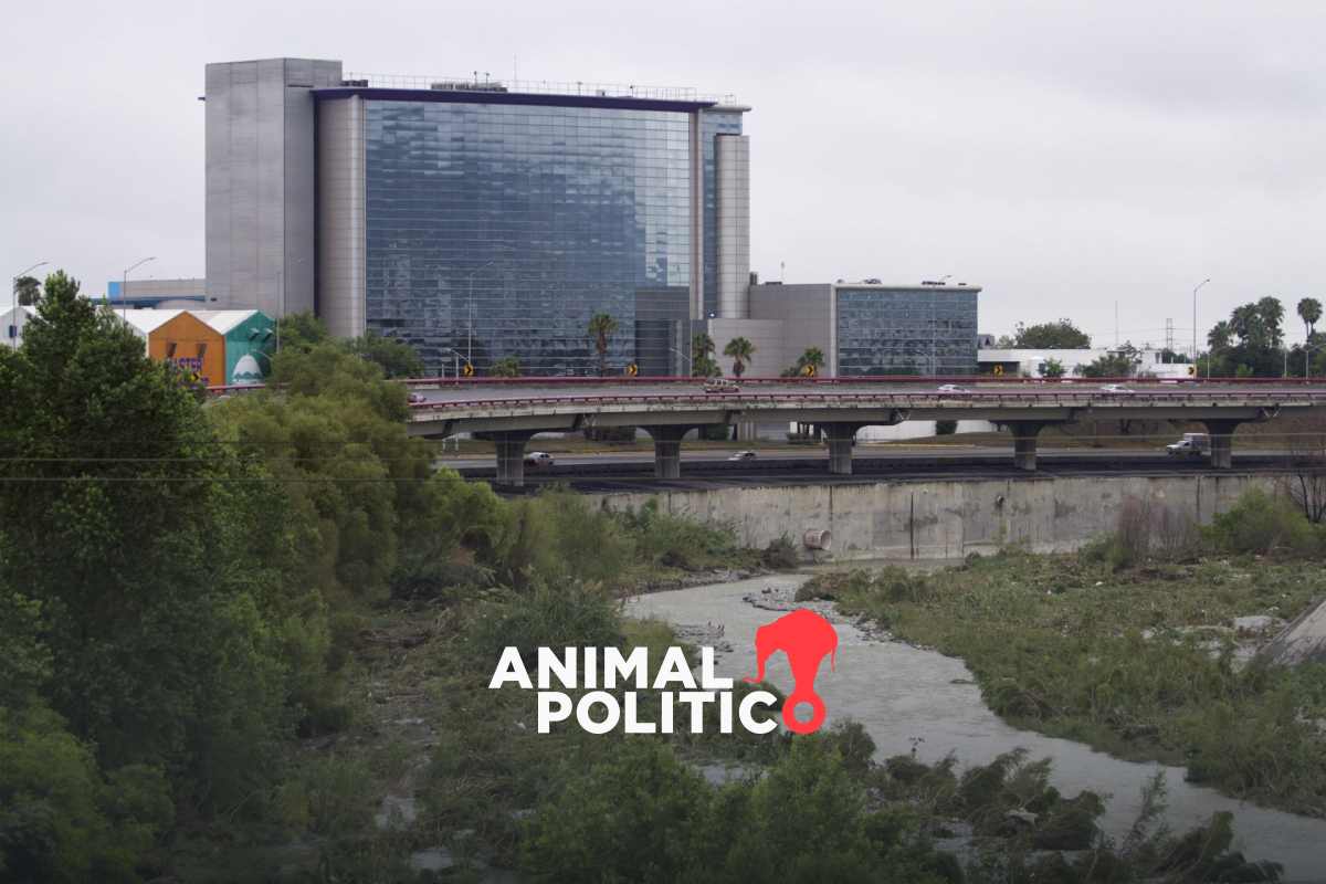 Colectivo obtiene suspensión definitiva para frenar desmontes en río Santa Catarina en Nuevo León 