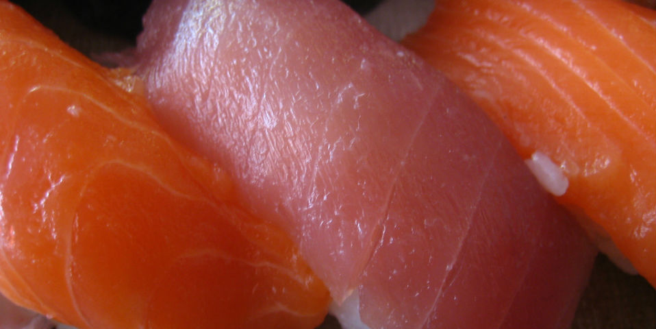 La carne multicolor de los pescados