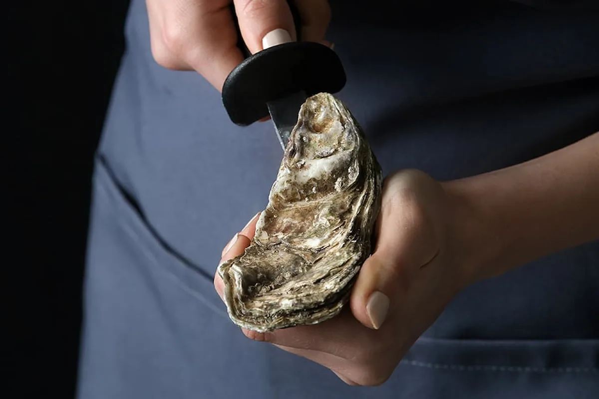 Tips para cocinar, limpiar y abrir moluscos