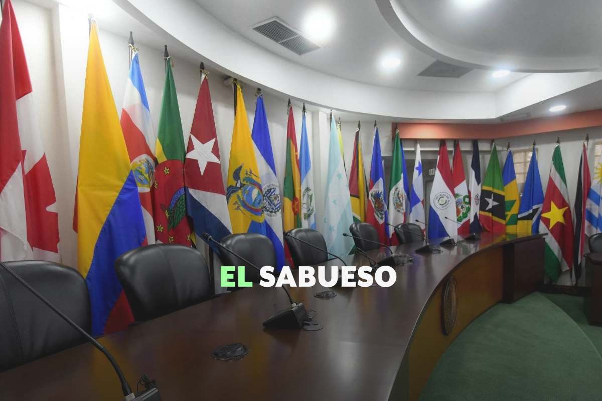 ¿Cómo funciona la CIDH y en qué casos puedes acudir si violan tus derechos humanos?