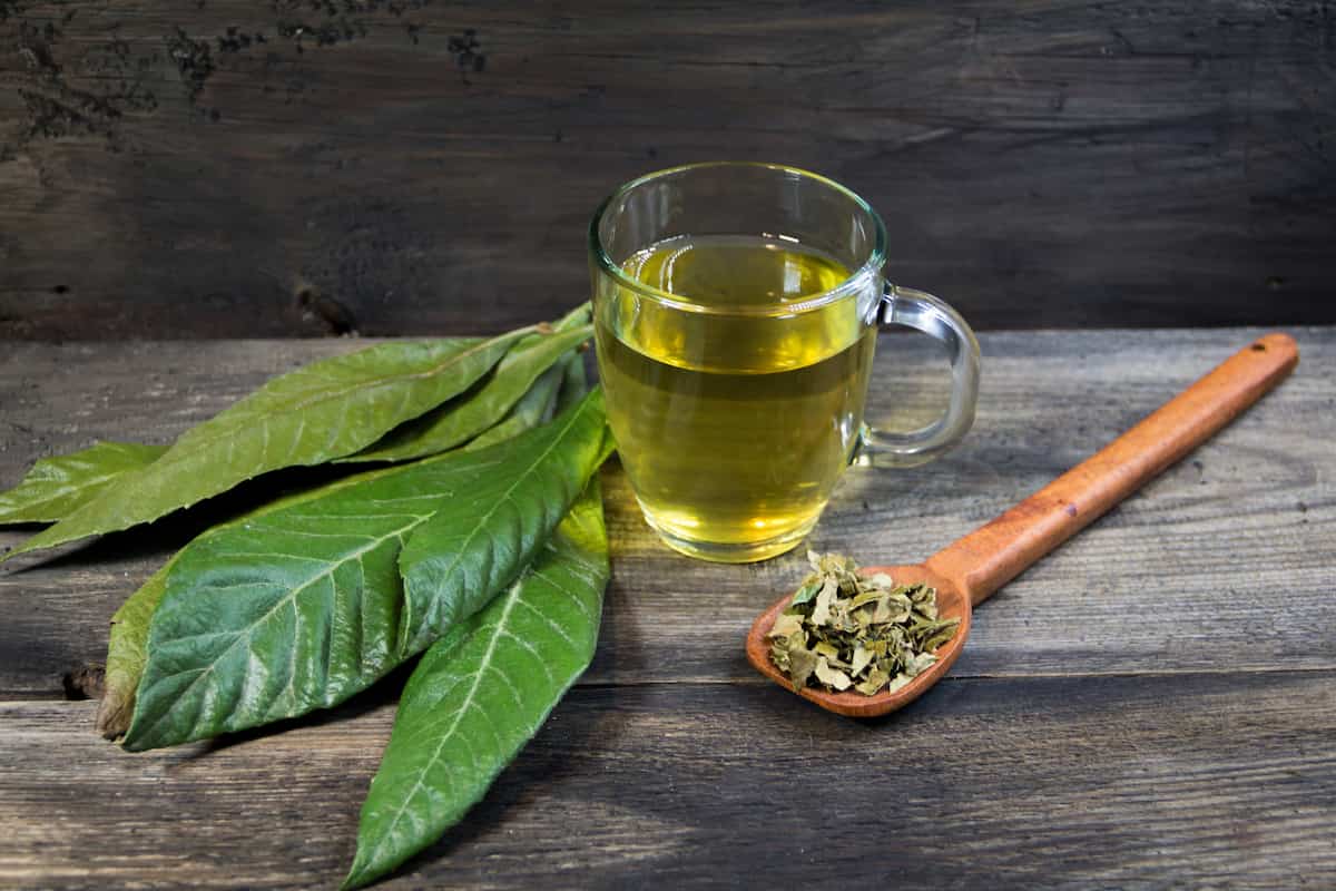 Té de Níspero: la infusión que sirve para controlar la diabetes de forma natural 
