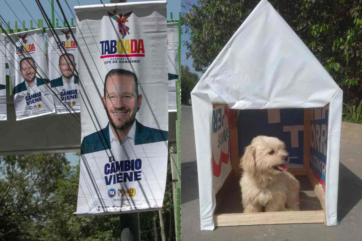 Casitas para animales, bolsas de mercado y otras formas de reutilizar las lonas electorales