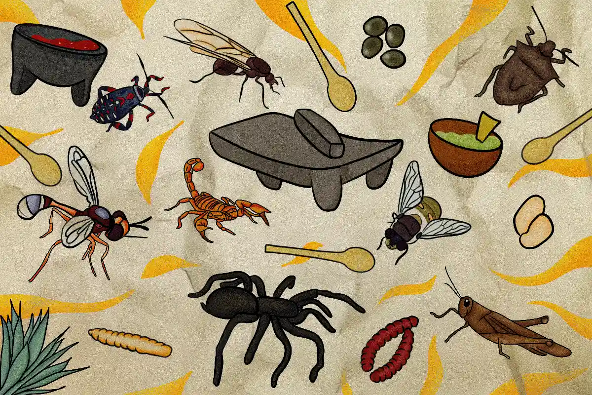 De antiguas tradiciones a futuras soluciones: el consumo de insectos como un superalimento