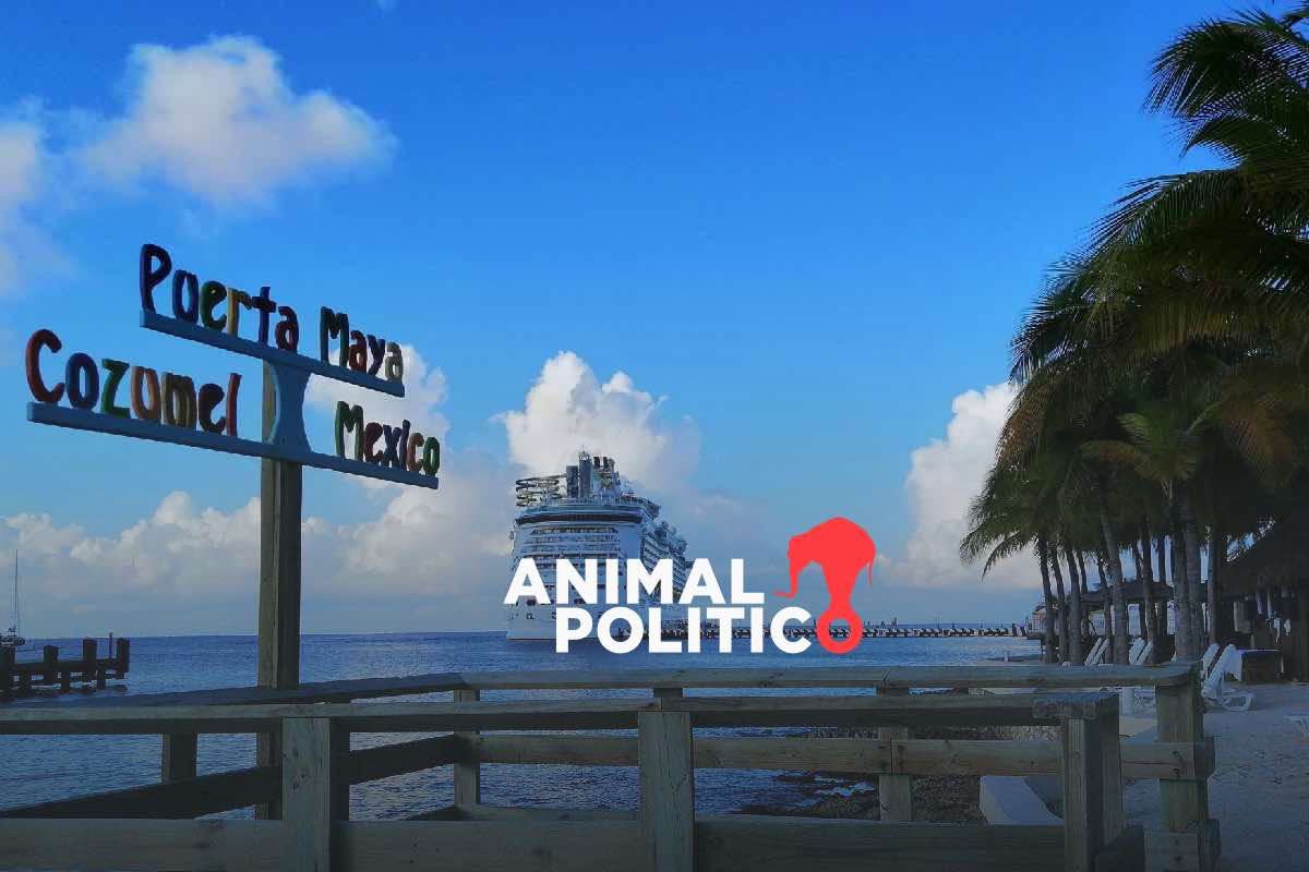 Contaminación y pérdida de flora y fauna: los 15 impactos del proyecto de Royal Caribbean en Cozumel