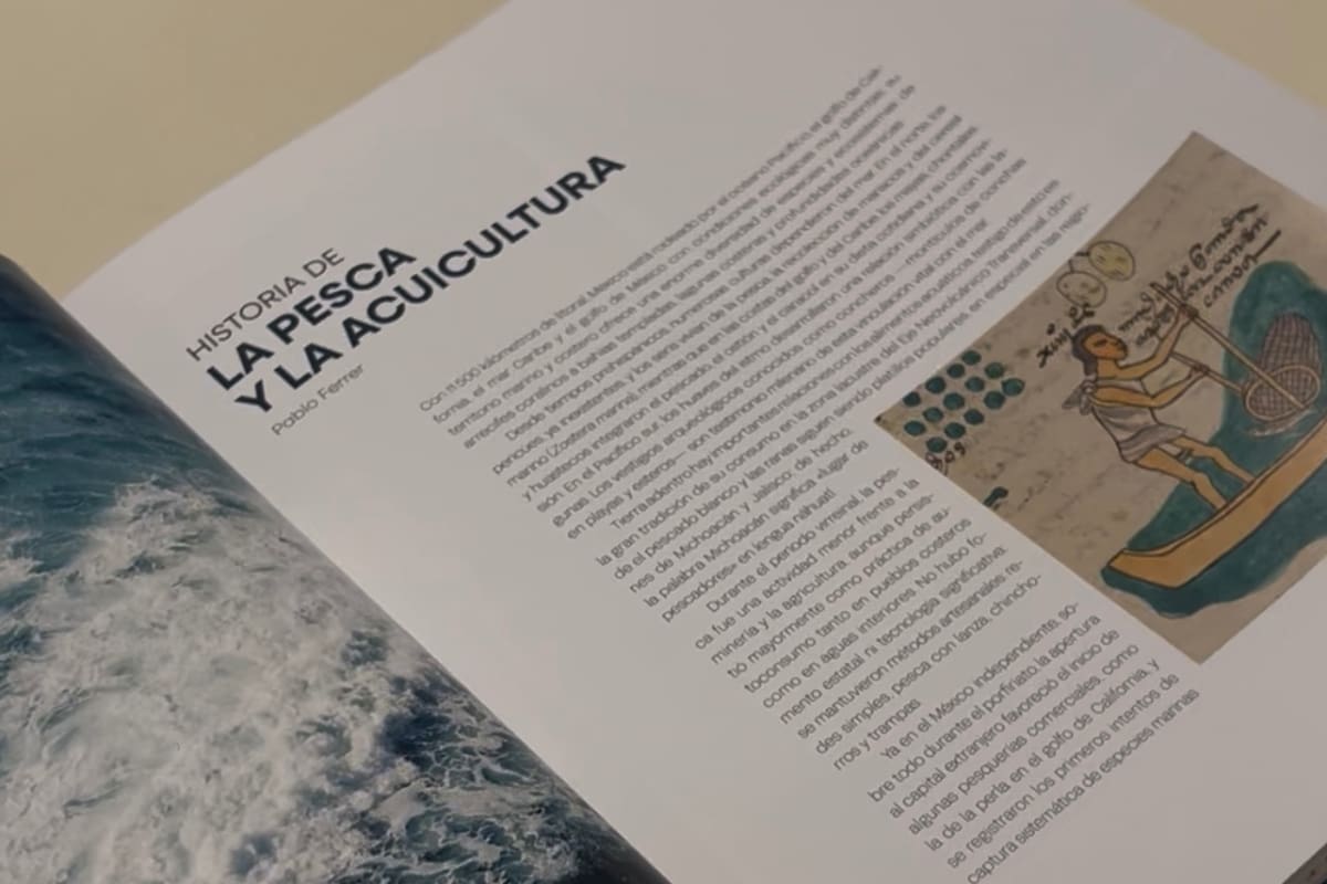 Paginas del libro "Descubriendo México a través de sus pescados y mariscos".