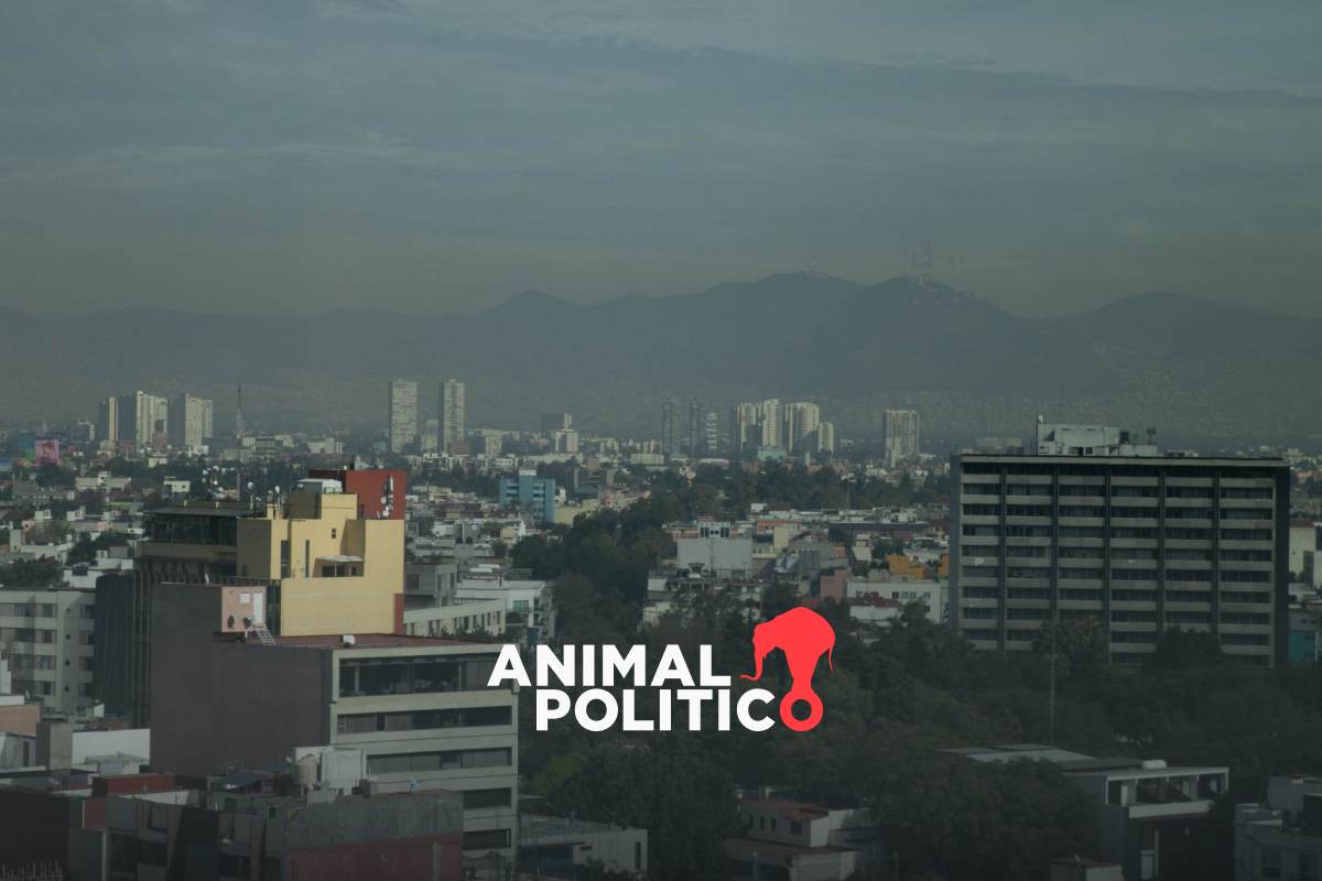 Qué es la contingencia ambiental, cuándo se activa y consejos para reducirla