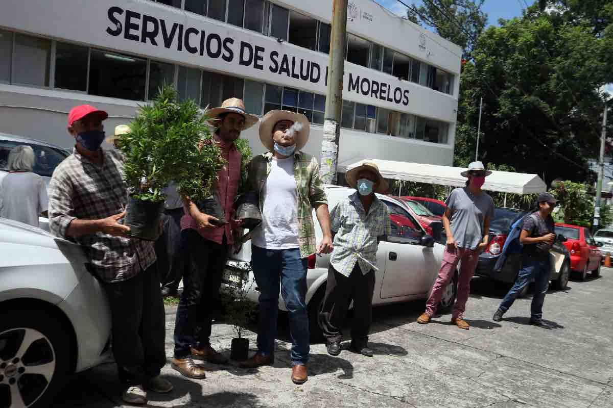 corrupcion-morelos-asf-denuncia-empresas-cuauhtemoc-blanco-abasto-medicamentos-animal-politico-2