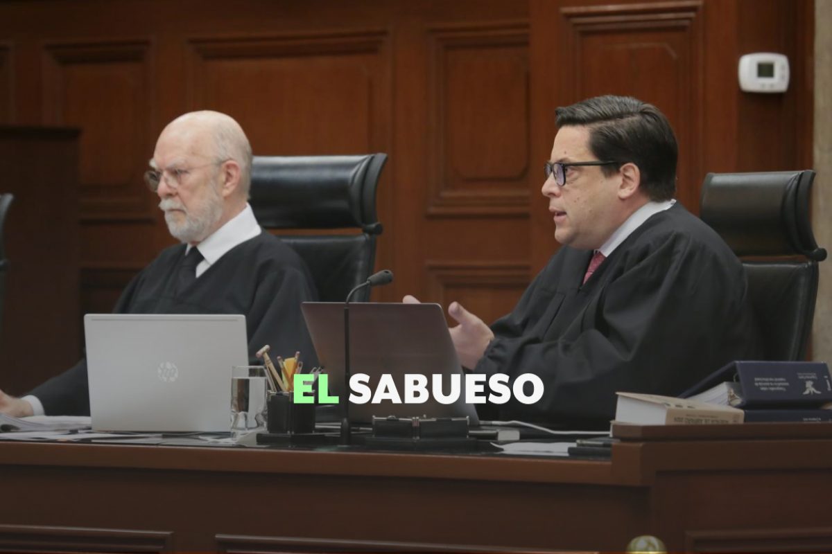 ¿Por qué la SCJN desestimó el proyecto de González Alcántara para invalidar la reforma judicial?