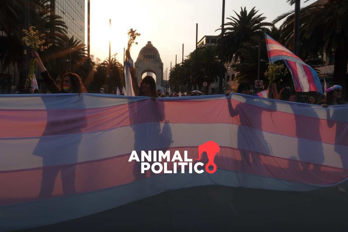 Corte ordena a la plaza Reforma 222 indemnizar a mujeres trans por discriminación
