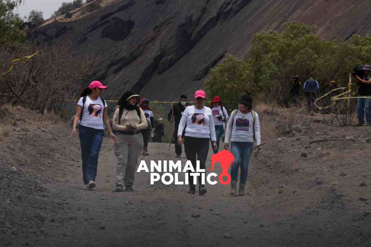 "Busquen en el cerro”: presunto crematorio clandestino, sitio antes explorado por madres buscadoras