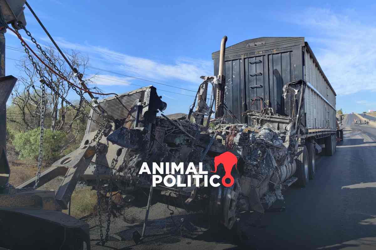 Localizan nueve cuerpos en Morelos, Zacatecas; suman 19 muertos en dos días