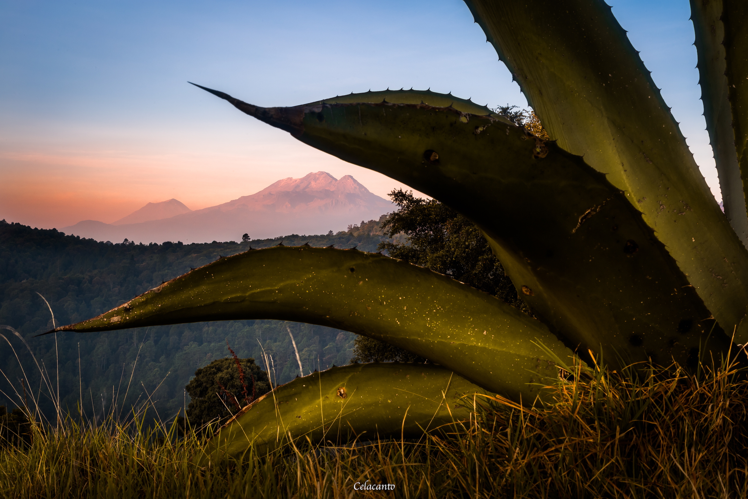 Regalo del volcán: Los cultivos que surgen en sus faldas fértiles