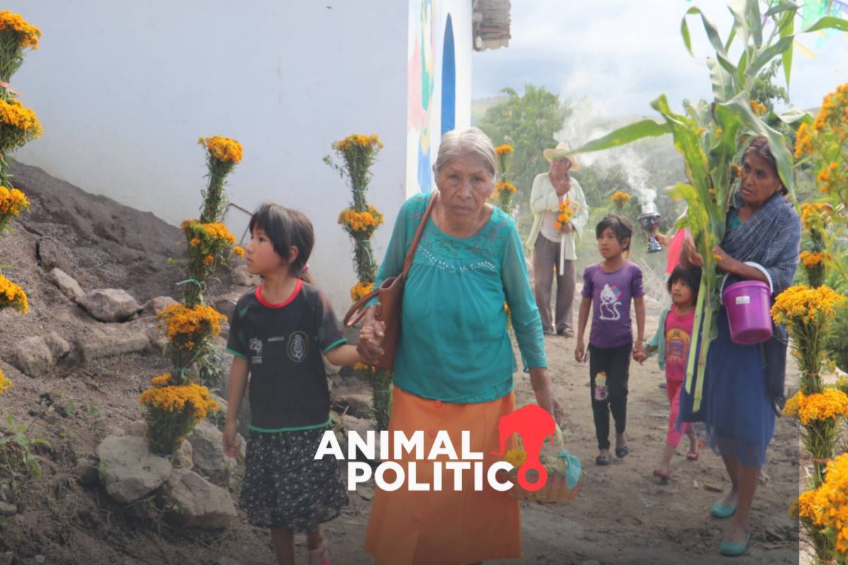 Las últimas sanadoras, mujeres que mantienen viva la tradición ancestral en la montaña de Guerrero