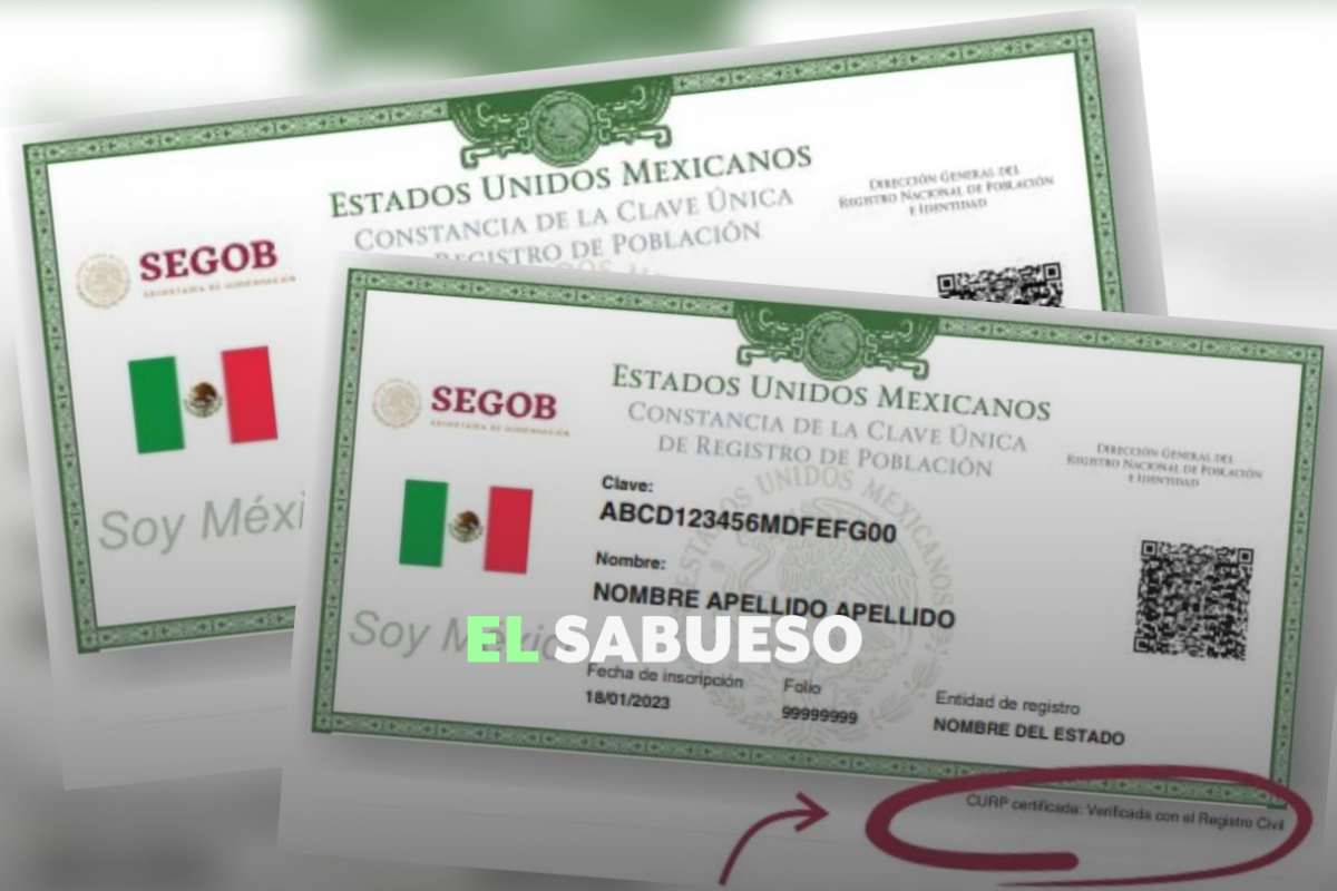 CURP: cómo saber si está certificada y cómo descargarla 