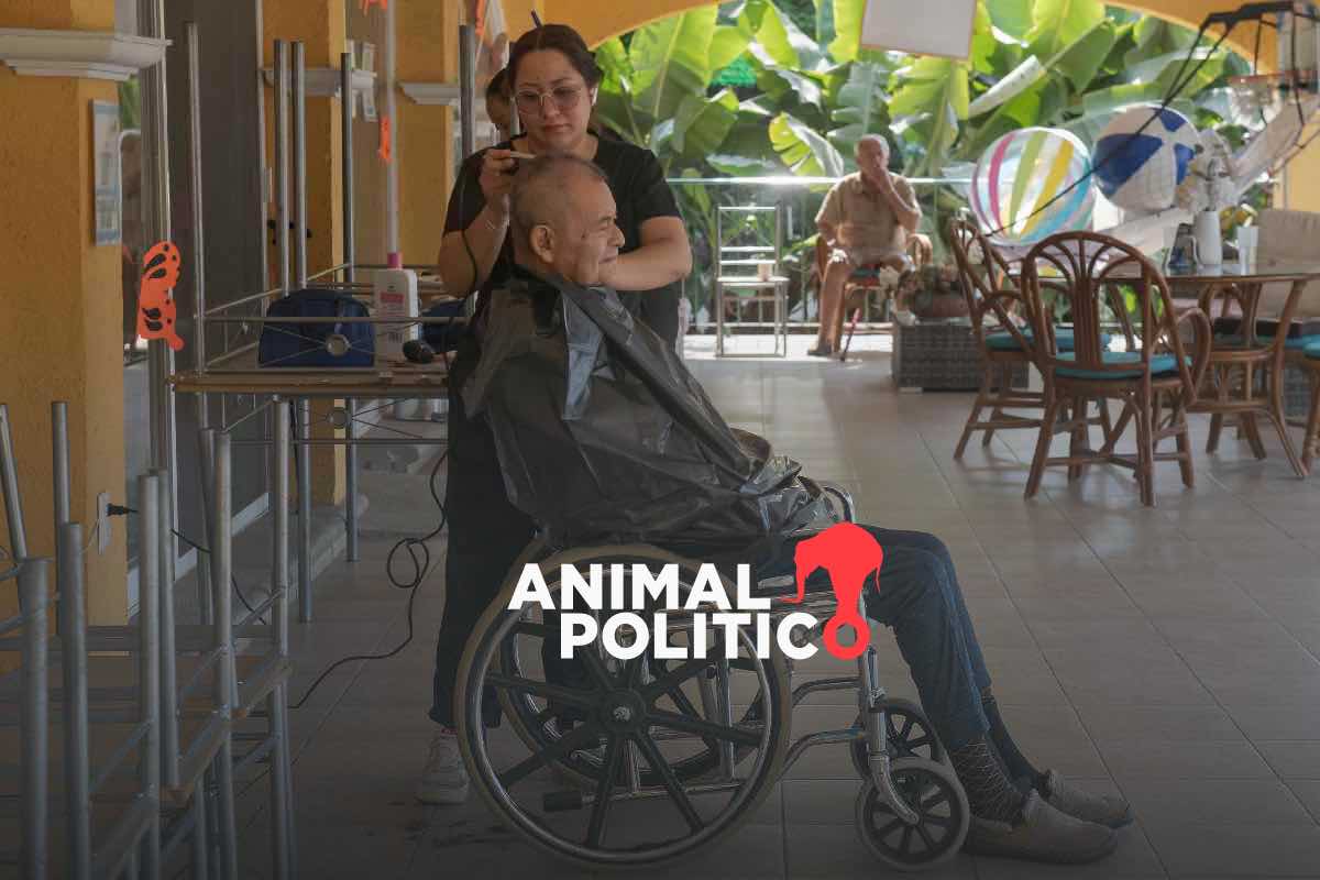 Demencia en casa. “Volví a sentirme normal”: en WhatsApp y desayunos, el alivio para cuidadores