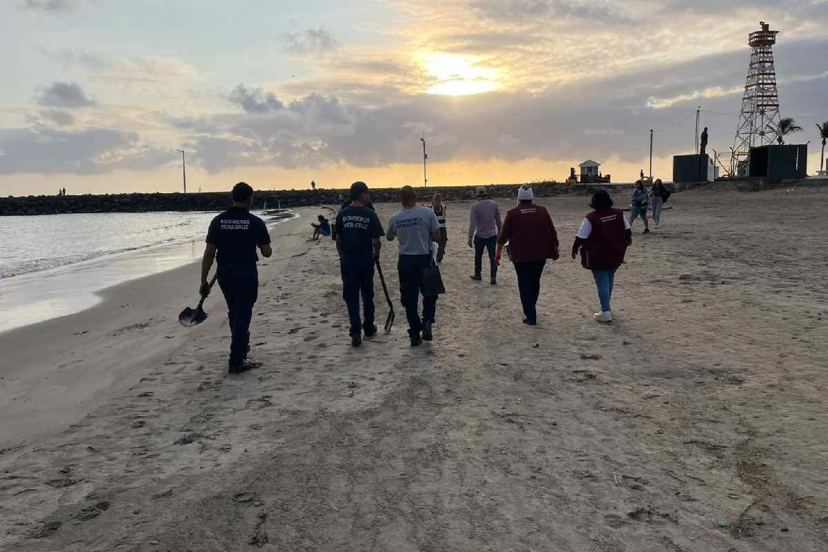 Derrame de hidrocarburos en el Golfo de México: refuerzan seguridad y barreras de contención