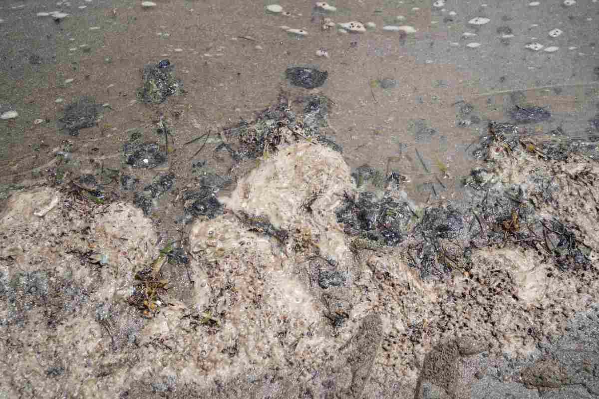 derrame hidrocarburos playas veracruz