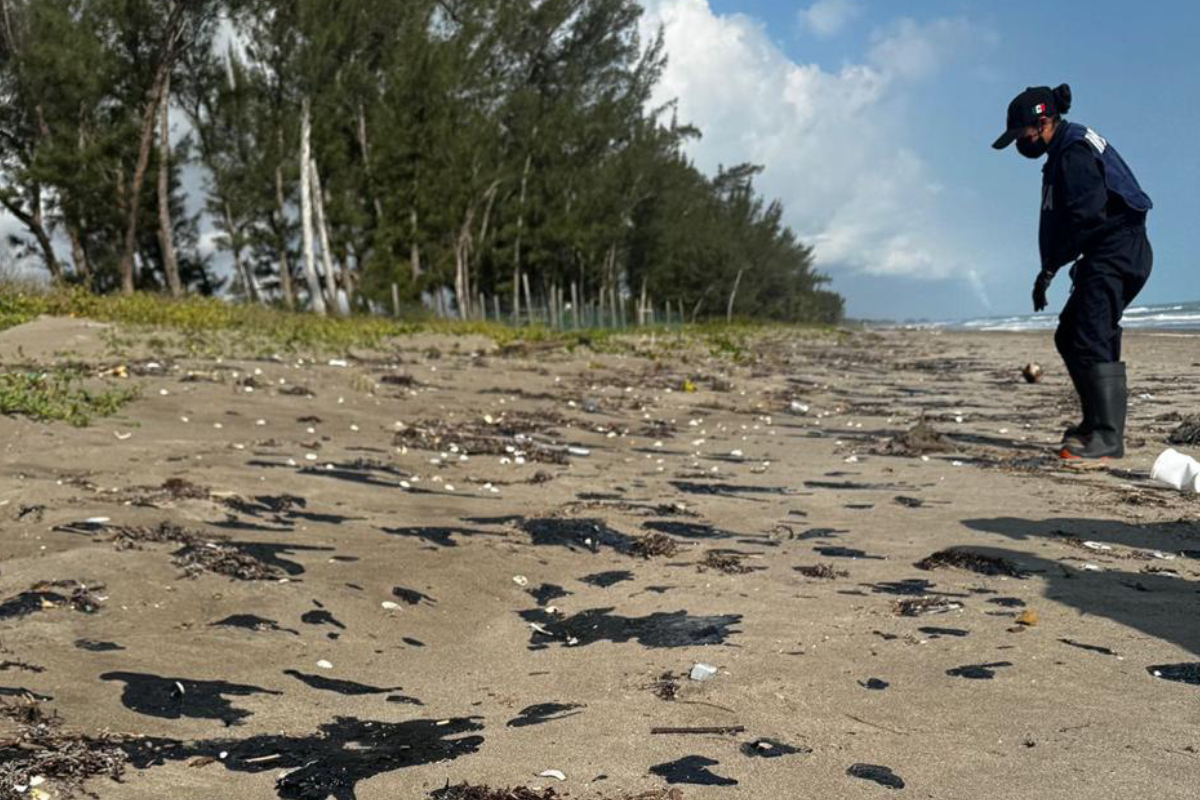 Daños ambientales y opacidad: el derrame petrolero que afecta al Golfo de México