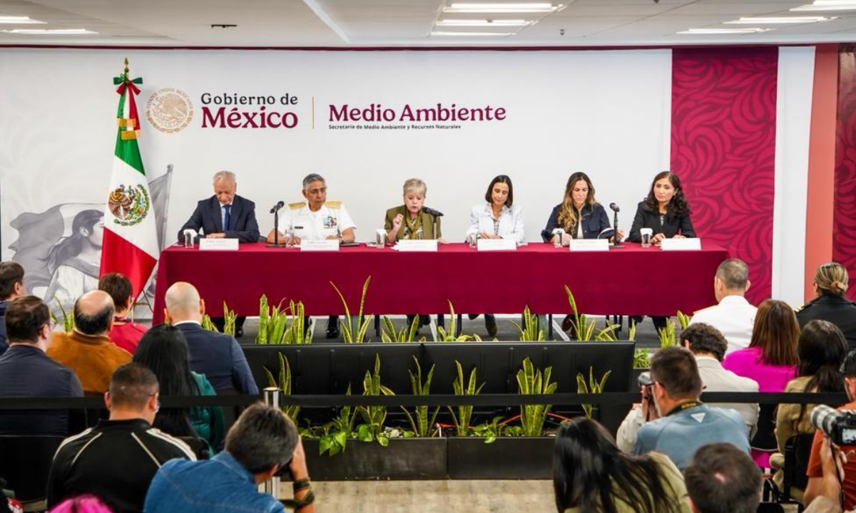 Derrame de hidrocarburo en el Golfo de México fue provocado por buque y chapopoteras naturales