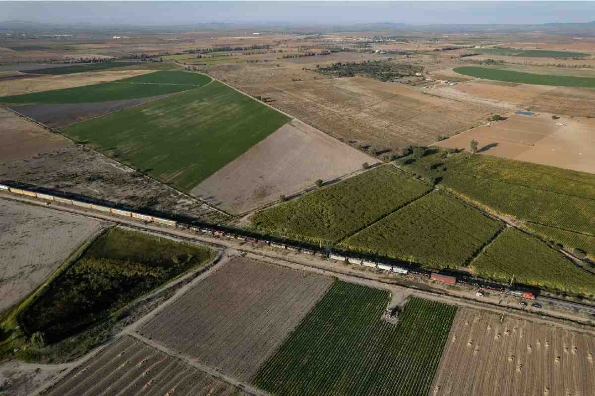 Descarrilamiento de tren en Aguascalientes deja saldo preliminar de un migrante fallecido y seis personas lesionadas